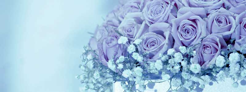 Gb`łlConTCgadrsT(^O^)0003